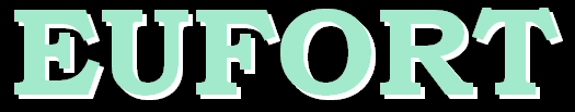eufort_titolo.jpg