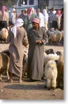 Pastori ad un mercato di bestiame