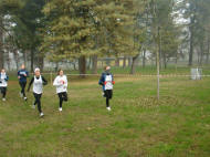 6tiuc 